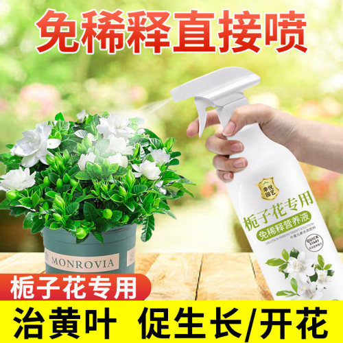 栀子花免稀释营养液直喷即用