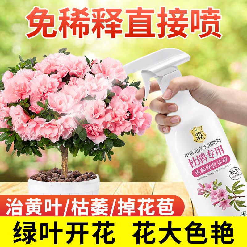 杜鹃花专用营养液开花肥料映山红盆栽酸性植物免稀释液体水溶肥