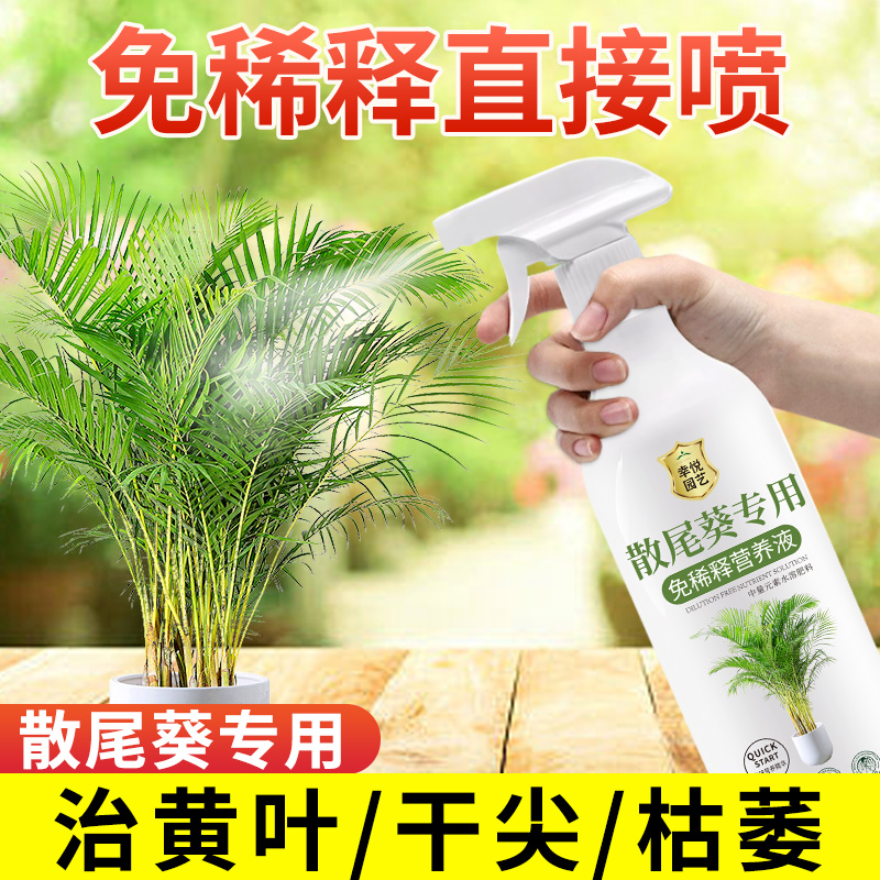 散尾葵专用营养液免稀释叶子发黄威夷竹凤尾竹专用肥料盆栽液体肥