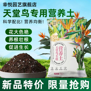 天堂鸟专用营养土绿植盆栽种植泥土氧化专用腐殖土通用肥料阳台土