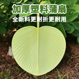 塑料蒲扇加厚加大手摇扇子夏季 大蒲扇子 耐用防摔坏芭蕉扇家用老式