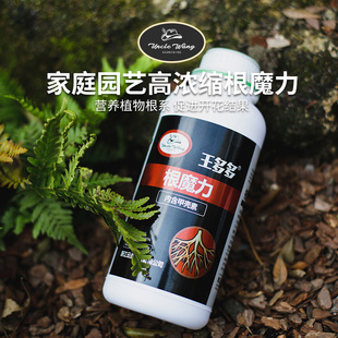 种花王大爷王多多根魔力植物营养液肥料盆栽植物 通用促生根促花