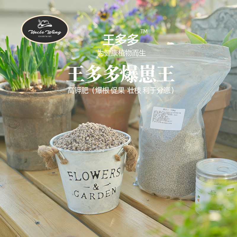 种花王大爷 王多多爆崽王有机质碳长效营养家用盆栽园艺土壤肥料,鲜花速递/花卉仿真/绿植园艺,家庭园艺肥料,淘宝优惠券,粉丝福利购,淘宝优惠卷