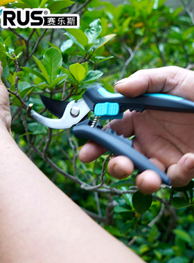 种花王大爷赛乐斯Cyrus弯刀剪园艺剪刀剪树枝修剪植物家用花剪