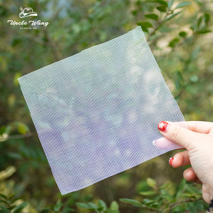 种花王大爷 网格网纱垫片多肉植物盆栽花卉盆栽盆底防虫花垫垫底