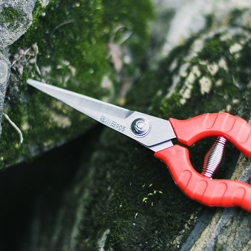 种花王大爷不锈钢园林剪刀果树