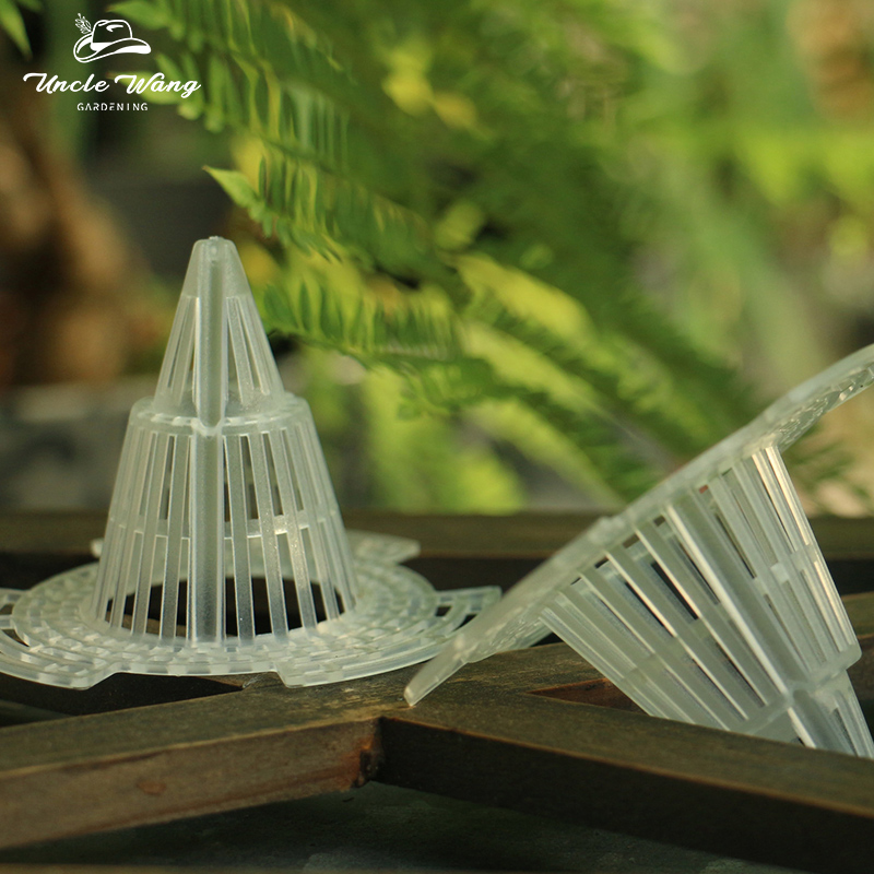 种花王大爷沥水垫片盆底