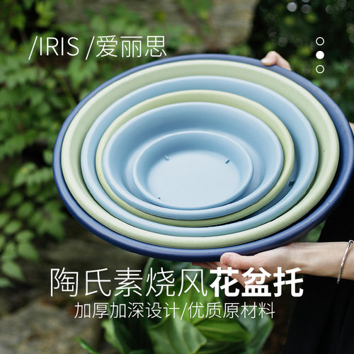 种花王大爷爱丽思多肉加深简约