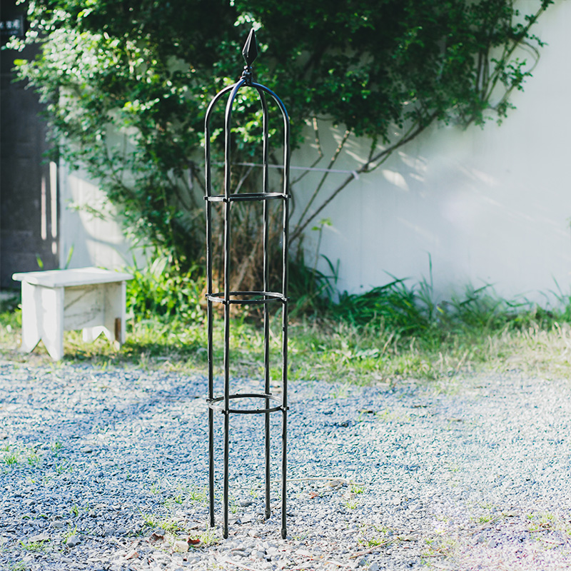 种花王大爷daim玫瑰月季爬藤支架