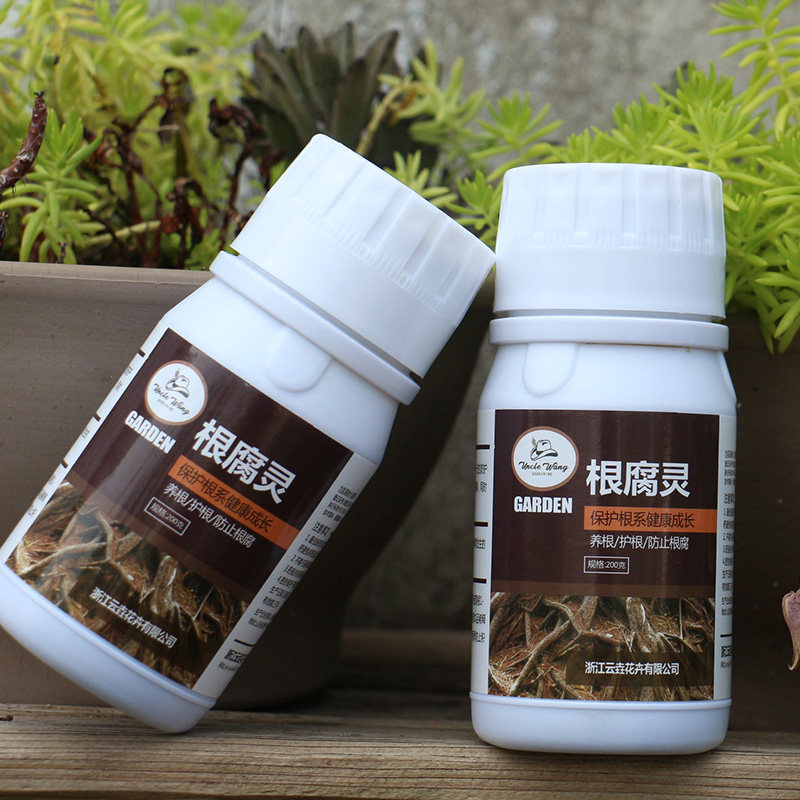 種花王大爺 森樂根腐靈防爛根腐土壤消毒花卉綠植盆栽防枯死在類目 鮮花速遞/花卉仿真/綠植園藝, 園藝用品, 家庭園藝肥料/營養土/營養液中 - 來自Buy2taobao.com提供專業的淘寶代購服務