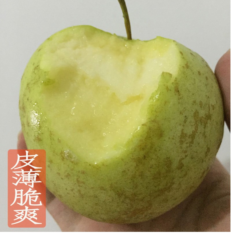 大沙河金帅苹果新鲜水果应当季现摘酸甜孕妇青丑苹果整箱10斤包邮
