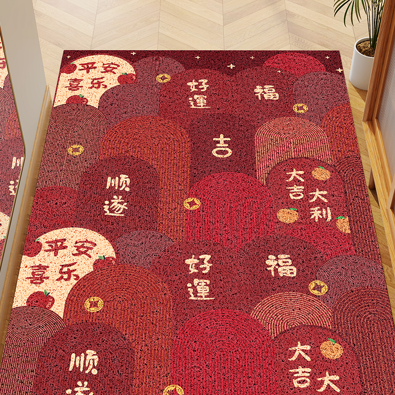 除尘耐磨丝圈入户家用脚垫