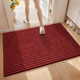 入户门地垫2025新款 进门门口脚垫高端防滑耐脏玄关门外蹭脚垫ff