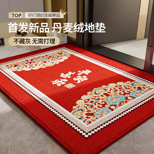 入户门地垫高级感进门耐脏防滑脚垫2025新款 进门专用地垫除尘脚垫