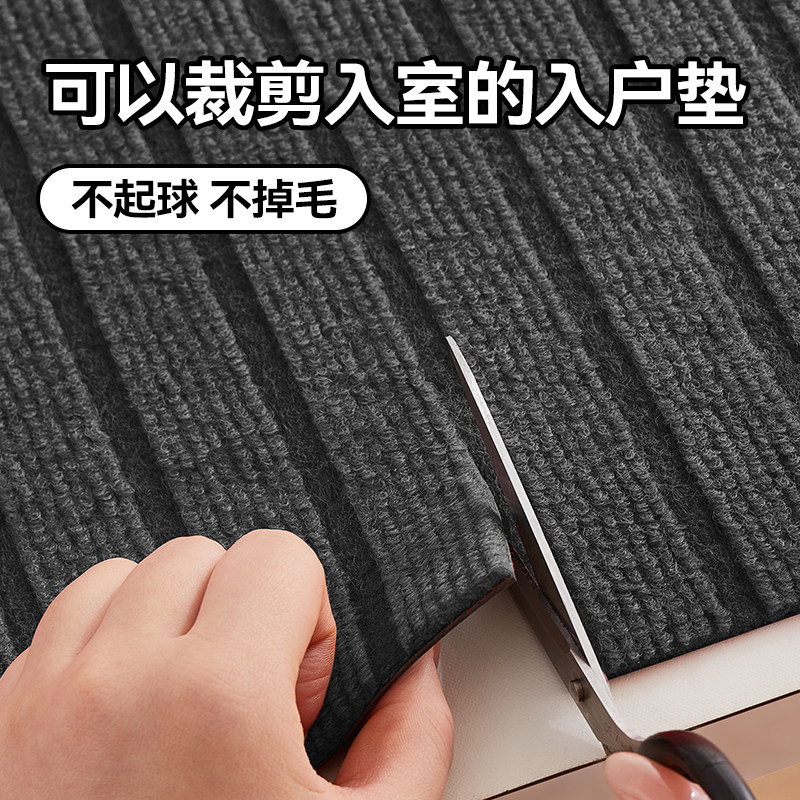 入户门地垫2025新款进门门口高端脚垫防滑耐脏除尘门外地毯蹭脚垫