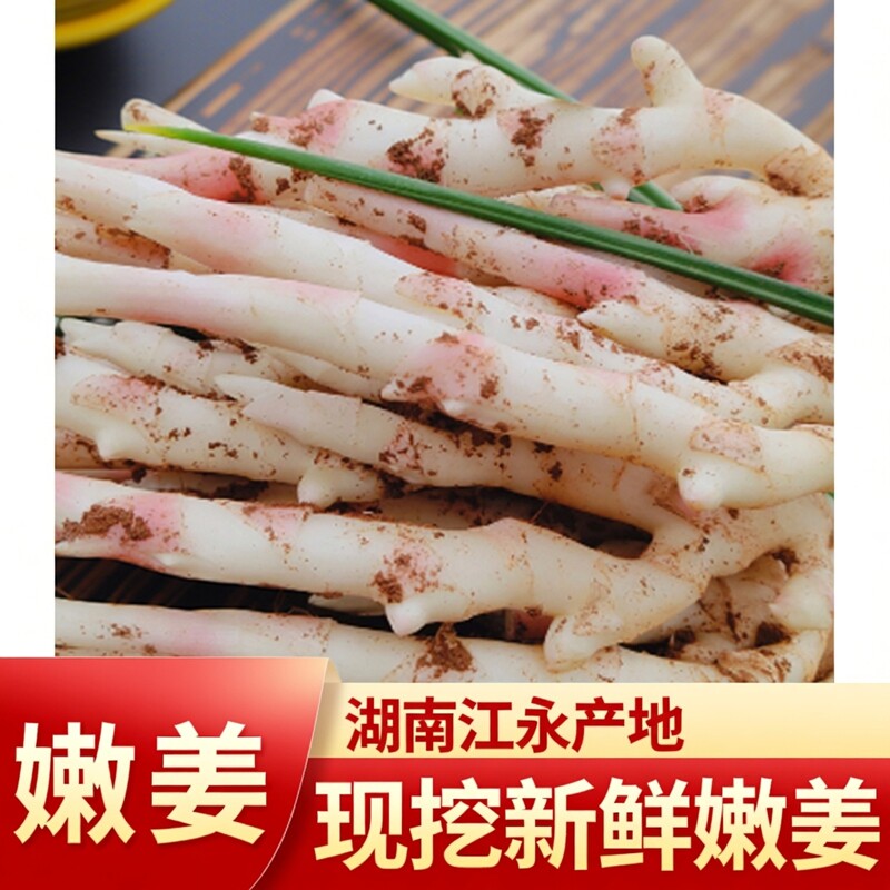 新鲜嫩姜仔姜生姜江永香姜子姜红芽姜醋泡姜湖南永州特产鲜姜现挖 - 实物图