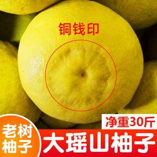 正宗江永香柚老树柚沙田柚当季新鲜水果胡柚湖南永州湘超柚子贡柚