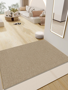 米色耐污地板垫入口门垫纯色无障碍豪华高档脚垫2025新款素色高档