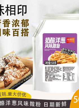 味相印奶酪洋葱风味撒粉500gbhc炸鸡店商用洋葱摇摇卷卷撒料薯条