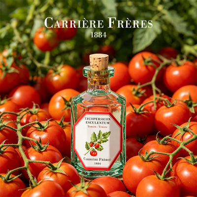 carrierefreres植物学家无火香薰