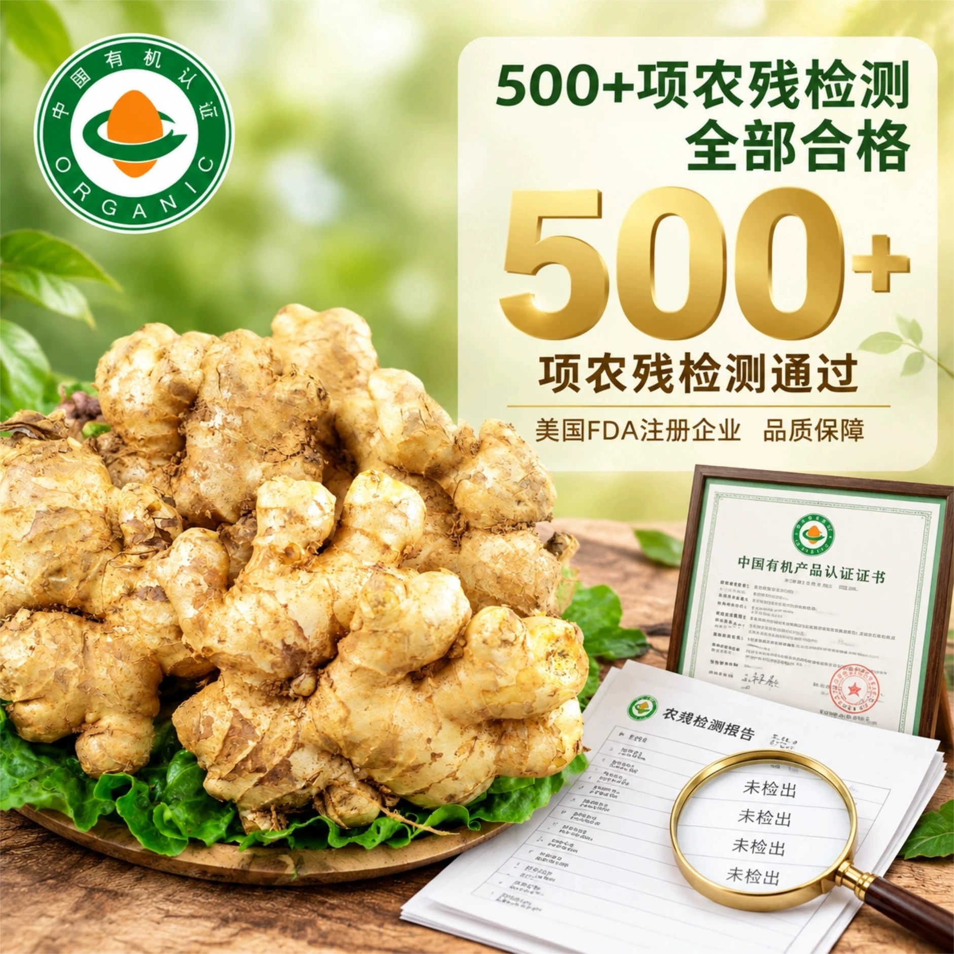 佰家珍品云南小黄姜有机认证