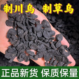 四川制川乌制川草乌中药材制川鸟饮片打粉制乌头