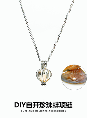 diy自开珍珠蚌高级感锁骨链女
