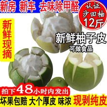 黄皮青皮12斤去甲醛新鲜柚子皮去味新房除甲醛泡水新车袪味神器