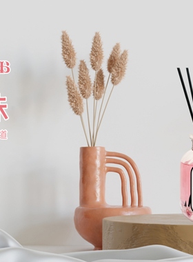 AROART寻味系列无火香薰藤条扩香家居办公清新空气佛手柑葡萄柚