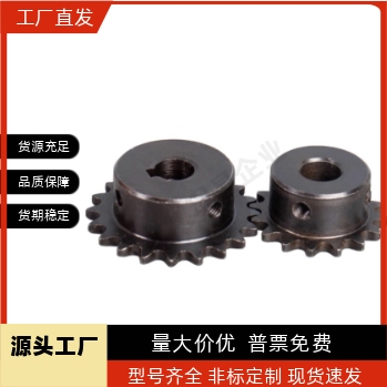 链轮35BSP35B18-N/S-11/12/14/15/16/17/18/19/20/22/24/25-