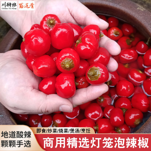 蜀逍肴四川手工精选坛泡灯笼泡椒