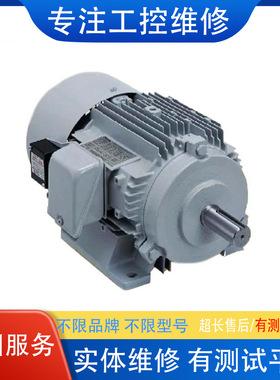 德国VEM电机 K21R132S4TB3高扭力电机马达检测 不限故障修理