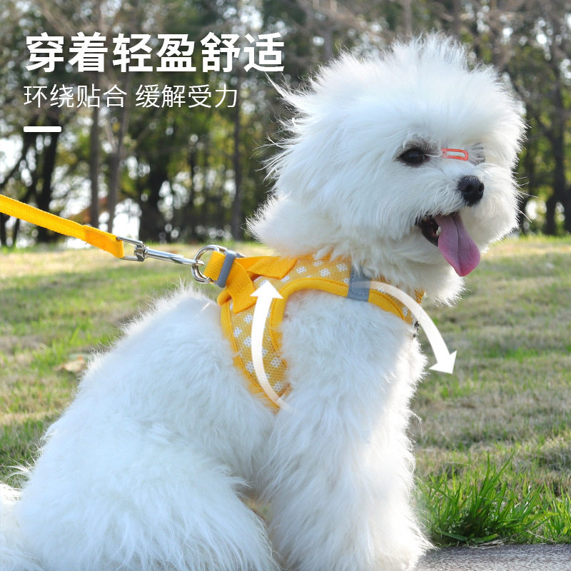 新款猫咪胸背带清新格子