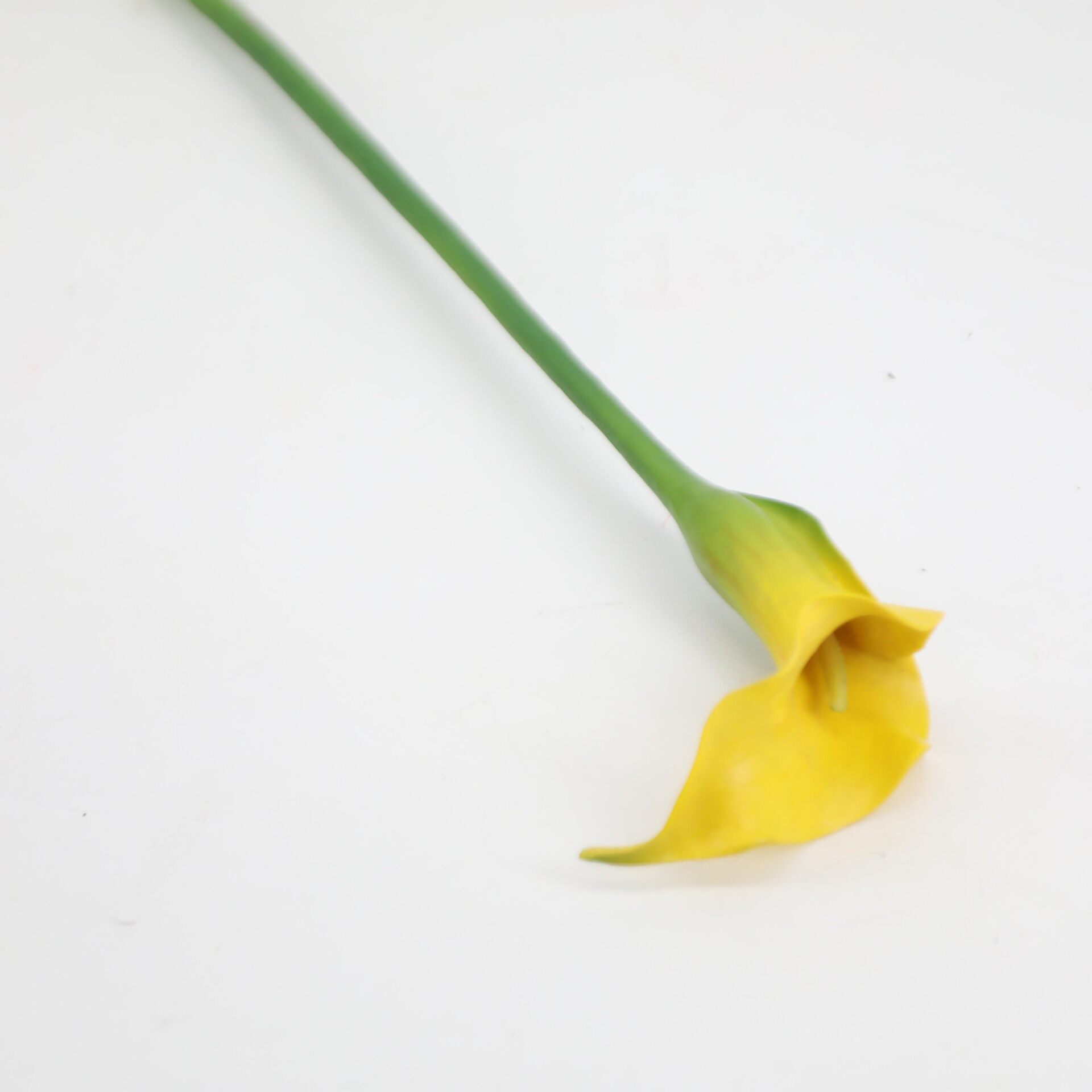 花小海芋马蹄莲艺术插花