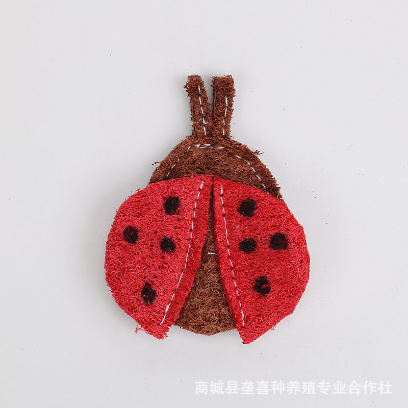 丝瓜络植物纤维宠物猫狗
