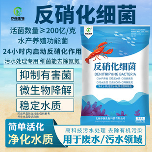200亿生物反硝化细菌水产养殖降低亚硝酸盐污水处理净化水质底质