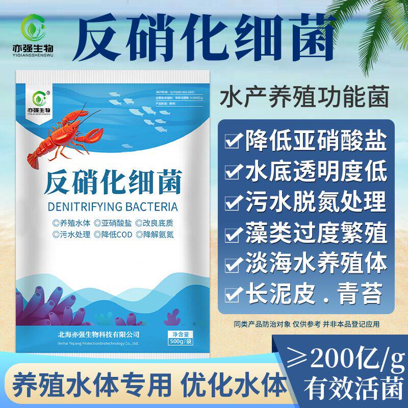 反硝化细菌 水产养殖降低亚硝酸盐污水处理净化水质底质
