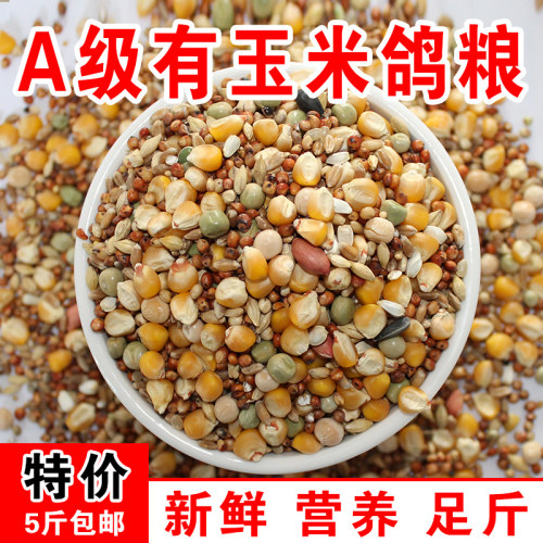 鸽粮a级有玉米鸽料有幼鸽观赏鸽