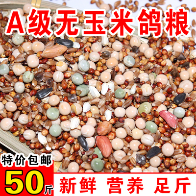 鸽粮无玉米赛飞营养饲料无玉米