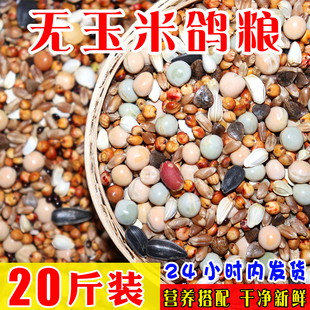 鸽子粮食鸽料无玉米营养鸽粮五谷杂粮鸟食信鸽赛鸽肉食鸽20斤包邮