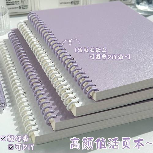 【热卖推荐】简约款夹条活页本