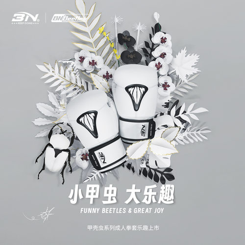 BN拳击手套泰拳男女搏击拳套成人10OZ12OZ散打训练专业沙袋专用