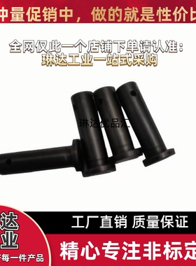 HCDGH3 4 5 6 8 10 12-10 12 15 20 22 25 30 35 40 50带肩铰链销