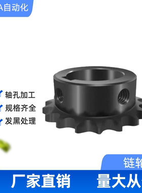 链轮 50B /SP50B21-N-20/21/22/24/25/28/30/32/35/38/40/45/链条