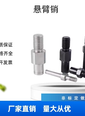 悬臂销法兰型扣环型SFXEA/6/8/10/12/13/15/16/17/18/20/22/25/30