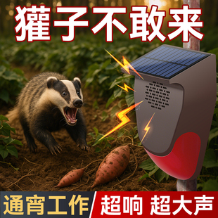 防獾神器吓猪獾庄稼地驱野兽野猪报警器太阳能动物驱赶器户外喇叭