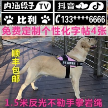 狗狗萨摩耶拉布拉多金毛遛狗背带1