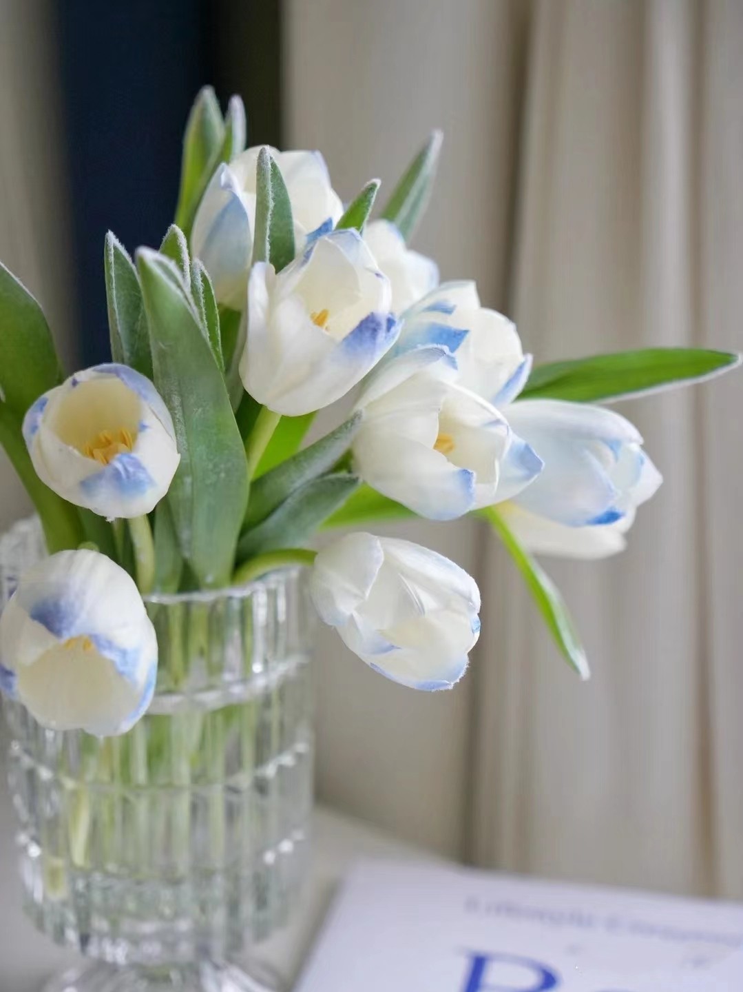 水培郁金香进口郁金香种球自然球郁金香种子耐寒花卉盆栽重瓣大球