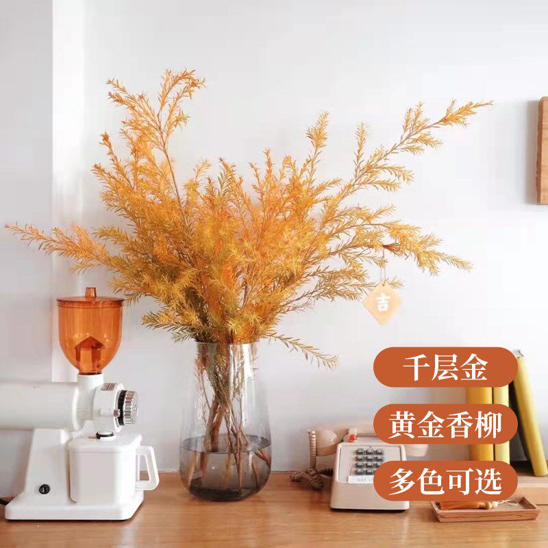 千层金黄金香柳水培鲜切枝条室内桌面装饰插花可做干花水养植物盆