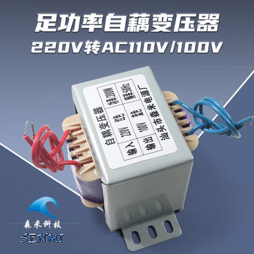变压器AC220V转AC110V100V自耦110V转220VAC 电压 转换器定制新品